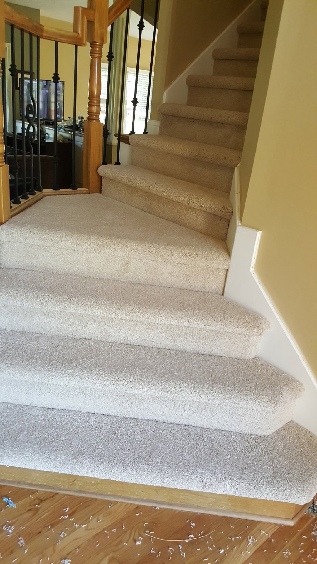 Plush Carpeted Staircase